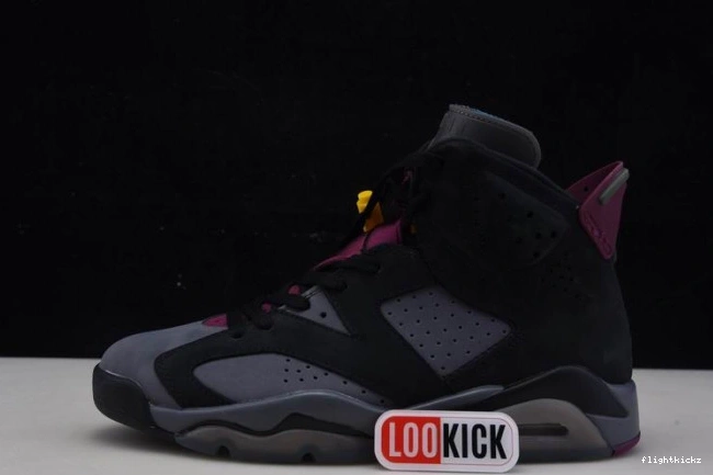 Jordan 6 